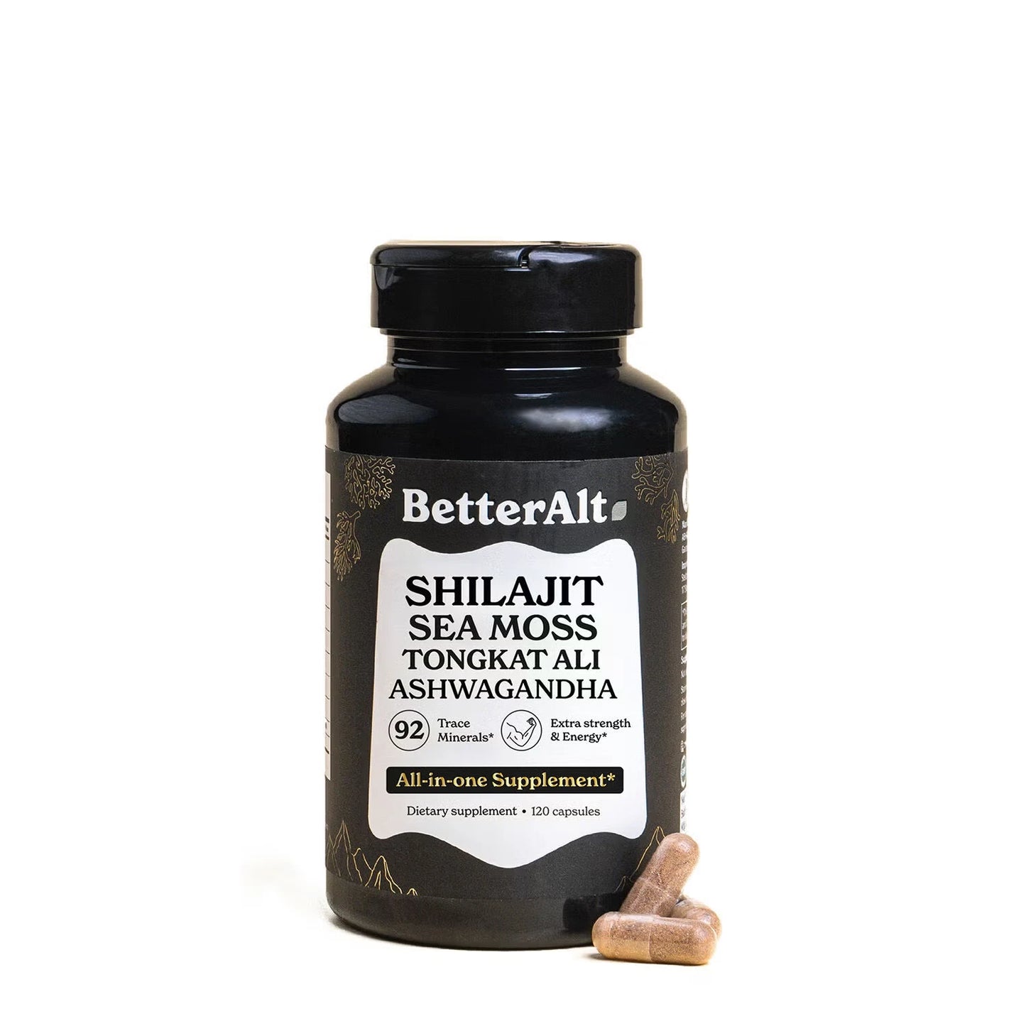 SHILAJIT BETTERALT 92 MINERALES
